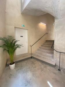 Velaux的住宿－SOUS LES PLATANES，一座种植盆栽植物的建筑中的楼梯