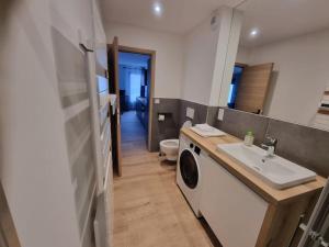 une salle de bain avec un lavabo et une machine à laver dans l'établissement Superbe appartement T2 climatisé, idéalement situé, à Ugine