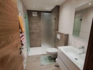 a bathroom with a toilet and a sink and a shower at Apartment Ferienwohnung Fichte by Interhome in Oberwang