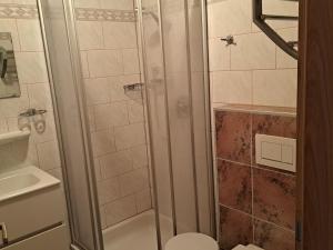 een badkamer met een douche, een toilet en een wastafel bij Apartment Waldfrieden by Interhome in Oberwang