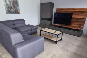 un soggiorno con divano e TV di super appartement 100m2 a Ribeauvillé