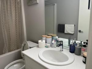 a bathroom with a sink and a toilet and a mirror at Private Basement Suite with comfort in Winnipeg