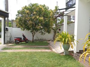 a scooter parked next to a house with a tree at Calm villa-Mirissa North-Kamburugamuwa-Nearest Madihe East in Kamburugamuwa +11 photos