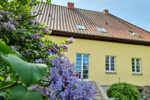 żółty dom z fioletowymi kwiatami przed nim w obiekcie Gutshaus Neu Necheln w mieście Brüel