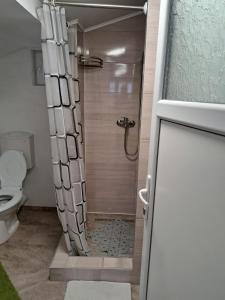 een douche in een badkamer met een toilet bij Casa Gabi in Corbu