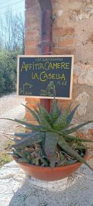 a plant in a pot in front of a sign at Affittacamere la Casella Monteriggioni in Monteriggioni