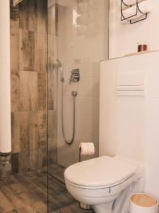 La salle de bains est pourvue de toilettes et d'une douche en verre. dans l'établissement Studio apartmani Venium, à Križevci