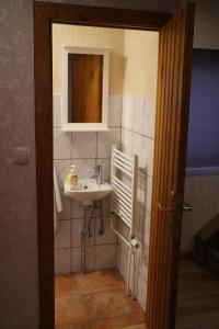 a bathroom with a sink and a mirror at Ferienhaus Apfelblüte in Schotten +18 photos