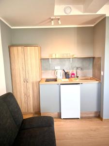 una pequeña cocina con fregadero y encimera en 3 Budget Stay Apartments, en Zgorzelec