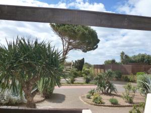 Blick auf einen Garten mit Bäumen und Pflanzen in der Unterkunft Studio Village Naturiste Purple & Angel in Cap d'Agde