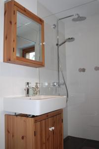 um lavatório de casa de banho com chuveiro e espelho em Sonnennest em Hirschegg