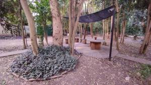 維多利亞的住宿－El Respiro，一个带吊床、长凳和树木的公园