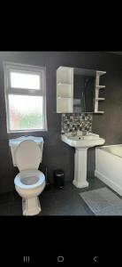 a bathroom with a toilet and a sink and a window at Badgers rest lodge in Kinlet