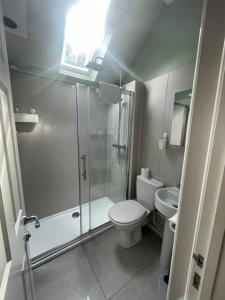 een badkamer met een douche, een toilet en een wastafel bij Carronvale. 3 Bedroom Oban Apartment. in Oban