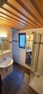 a bathroom with a sink and a shower and a mirror at Ferienhaus In der Hohl in Cochem