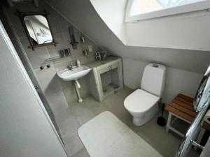 Baño pequeño con aseo y lavamanos en Modern guest house in Falsterbo within walking distance to the sea en Skanör med Falsterbo