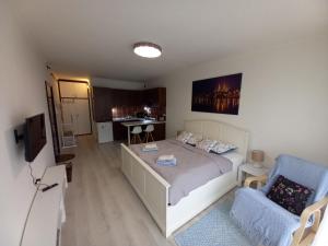 a bedroom with a bed and a chair and a television at Mimi Apartman in Szeged