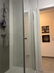 y baño con ducha y puerta de cristal. en Murtal Appartment Größingblick en Zeltweg