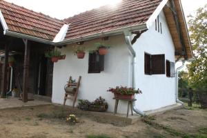 Budova, kde se the country house nachází
