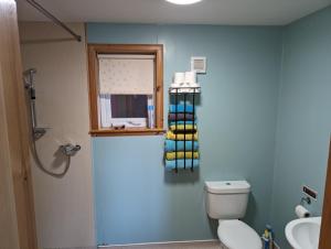 a bathroom with a toilet and a window and a sink at Tangles & Kelpie in Burray Village