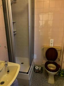 a bathroom with a toilet and a shower and a sink at Argyll guest house in Blackpool