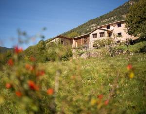 a house on a hill with a field of flowers at Cal Jep Costa in Saldés