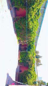 an overhead view of a building with plants on it at Moji pension in Addis Ababa