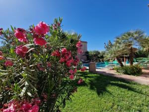 un cespuglio con fiori rosa accanto alla piscina di Manzal Lahbab (Pavillons, Bungalows, Piscine et Jardins) a Marrakech