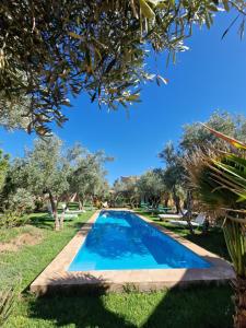 una piscina in un cortile alberato di Manzal Lahbab (Pavillons, Bungalows, Piscine et Jardins) a Marrakech