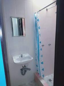 ein Bad mit einem Waschbecken, einem Spiegel und einer Dusche in der Unterkunft Casa Sol, Residencia para Grupos 22 personas, Cerca a la FERIA in Aguascalientes