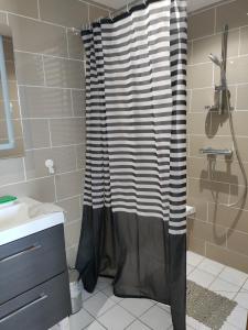 einen Duschvorhang im Bad mit Waschbecken in der Unterkunft Chambre d hôte des Abers in Lannilis