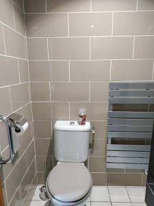 a bathroom with a white toilet in a room at chambre d hôtes au pays des abers in Lannilis