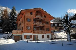 um grande edifício de madeira na neve em Chalet Alpina Gyger em Wengen