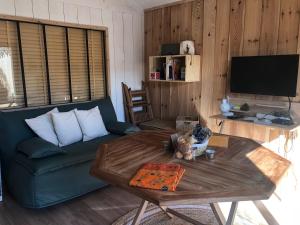 a living room with a couch and a coffee table at La Cabane 14 in Lanton