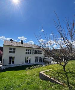 a white house with a tree in the yard at GardenLoft no2 in Vienna