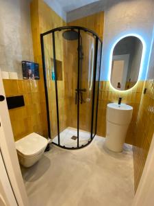 a bathroom with a shower and a toilet and a sink at Apartamentos "El collado Suites" Soria Centro in Soria