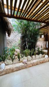 a garden with rocks and plants in a building at Casa Quetzal Hotel in Valladolid