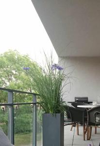een patio met een tafel en een potplant bij Gemütliches Businessapartment in Baden-Baden