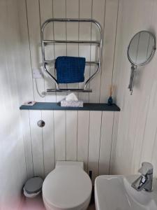 a bathroom with a toilet and a sink and a mirror at Dolly at Lowlands in Ringwood