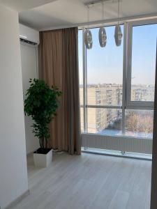 a room with a potted plant and a large window at Atlant luxury Big Family Apart on Golovna з двома окремими спальнями навпроти ТЦ ДЕПОТ БЕЗКОНТАКТНЕ ЗАСЕЛЕННЯ in Chernivtsi