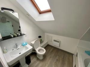 W łazience znajduje się umywalka, toaleta i lustro. w obiekcie LE PAVILLON RENNAIS w mieście Rennes