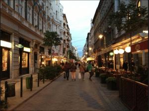 a group of people walking down a street at night at Cecile's Central, Gastro str, WIFI, 2 bed and 2 bathrooms in Budapest
