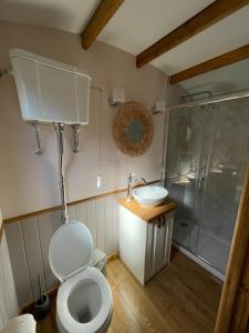 a bathroom with a toilet and a sink and a shower at Hafod Shepherd Hut in Aberystwyth +7 photos