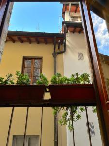 uma janela com vista para um edifício com vasos de plantas em Guicciardini 24 em Florença