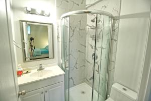 a bathroom with a shower and a sink at Free Parking Private Bathroom on Basement in Vaughan