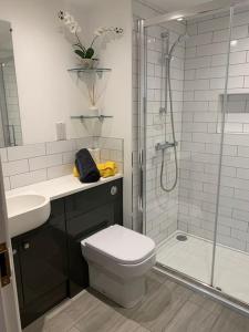 a bathroom with a shower and a toilet and a sink at 1 bedroom self contained separate Annexe in Exeter in Ide