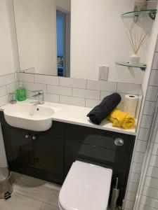 a bathroom with a sink and a toilet and a mirror at 1 bedroom self contained separate Annexe in Exeter in Ide