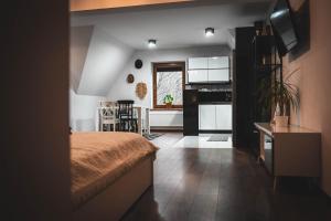 Televízia a/alebo spoločenská miestnosť v ubytovaní KANIA Apartamenty - Zakopane