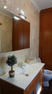 ein Badezimmer mit Waschbecken, Toilette und Spiegel in der Unterkunft Casa Golden in Bragança + 31 Fotos
