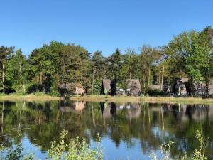 vistas a un lago con árboles en el fondo en Ferienhaus in Stramproy mit Möblierter Terrasse en Stramproy